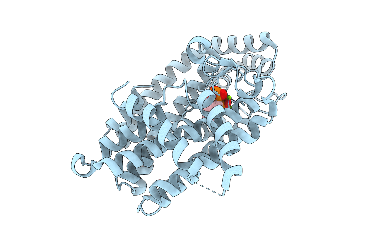 3CP6 image