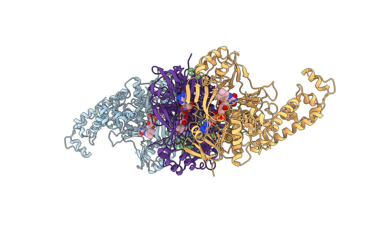 3CP8 image