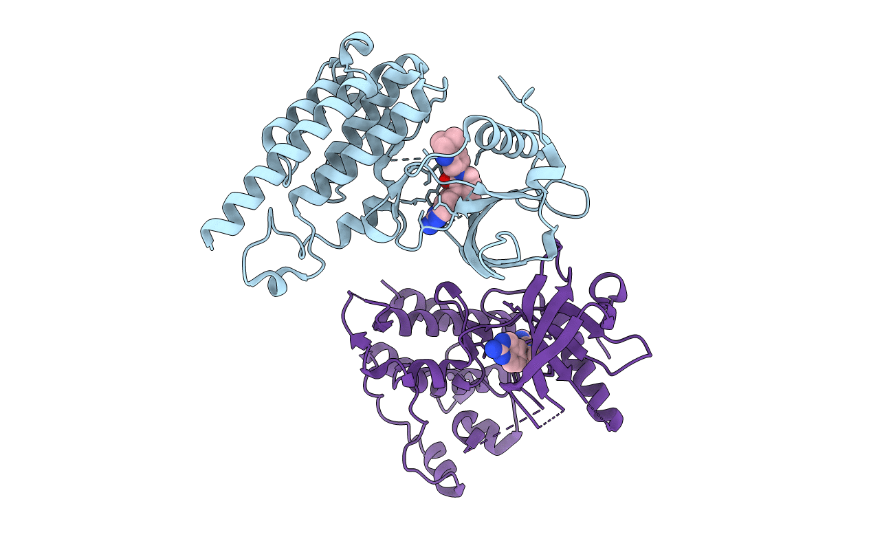 3CP9 image