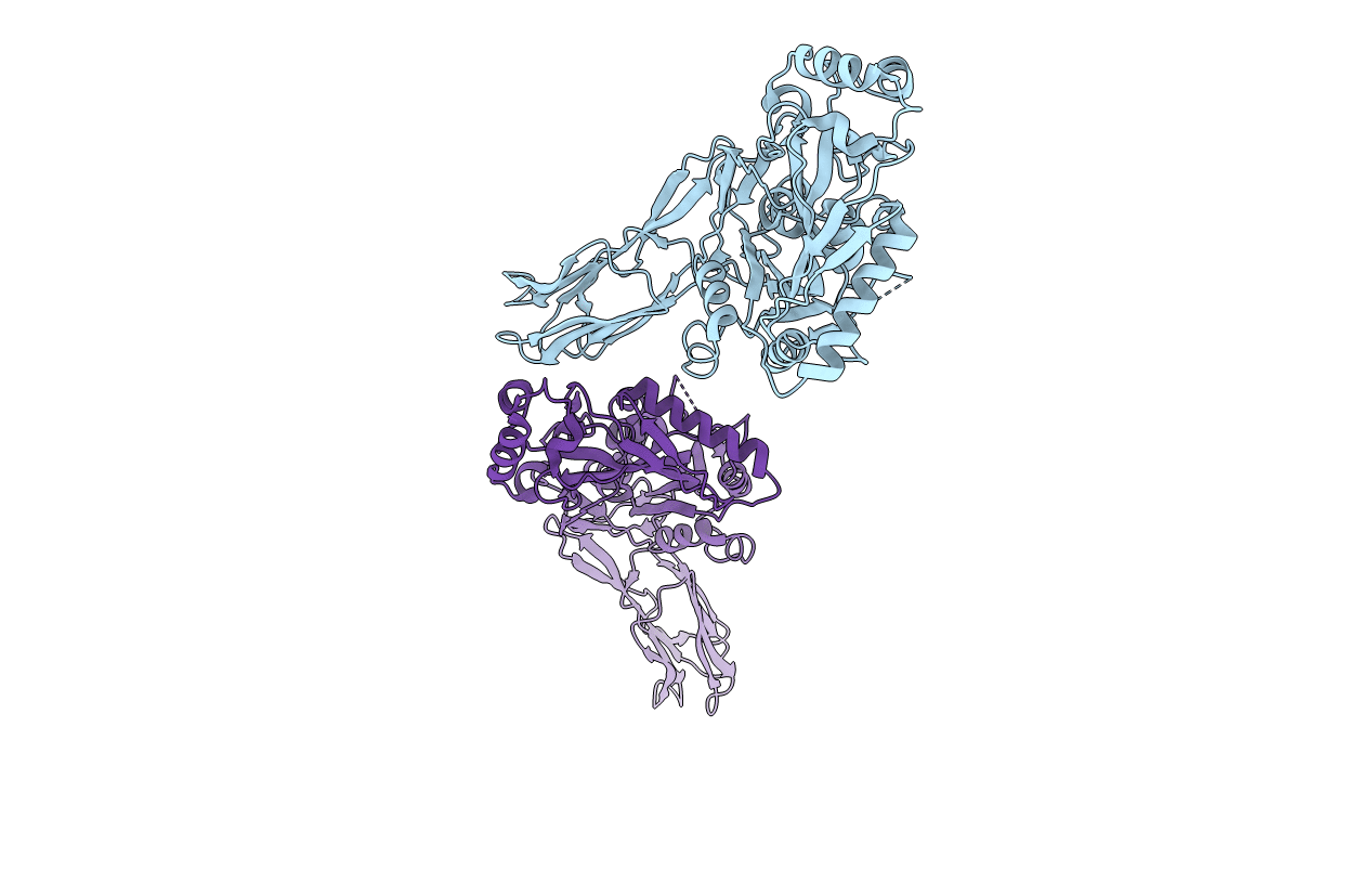 3CQF image