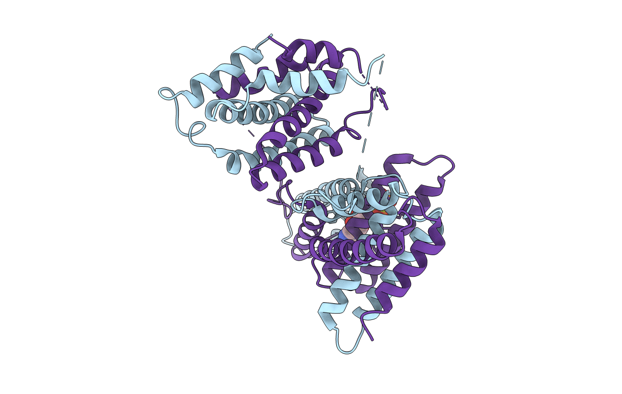3CRC image