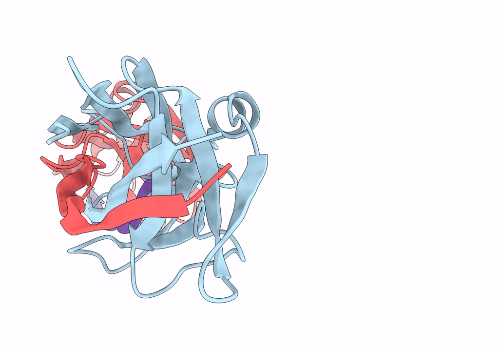 3CRF image