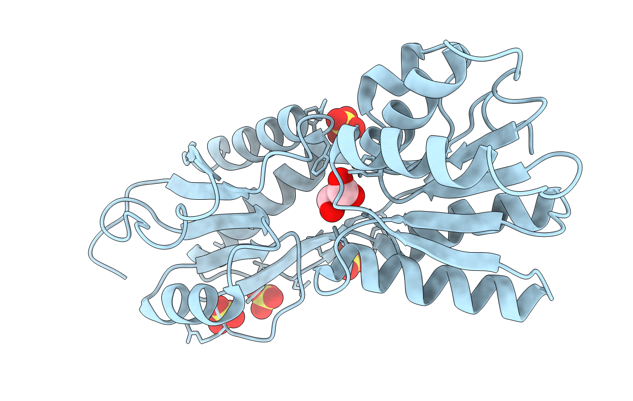 3CS3 image