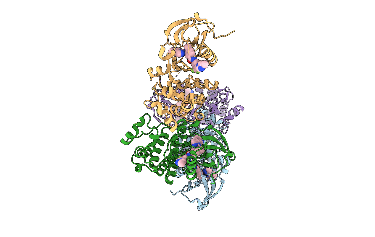 3CS9 image