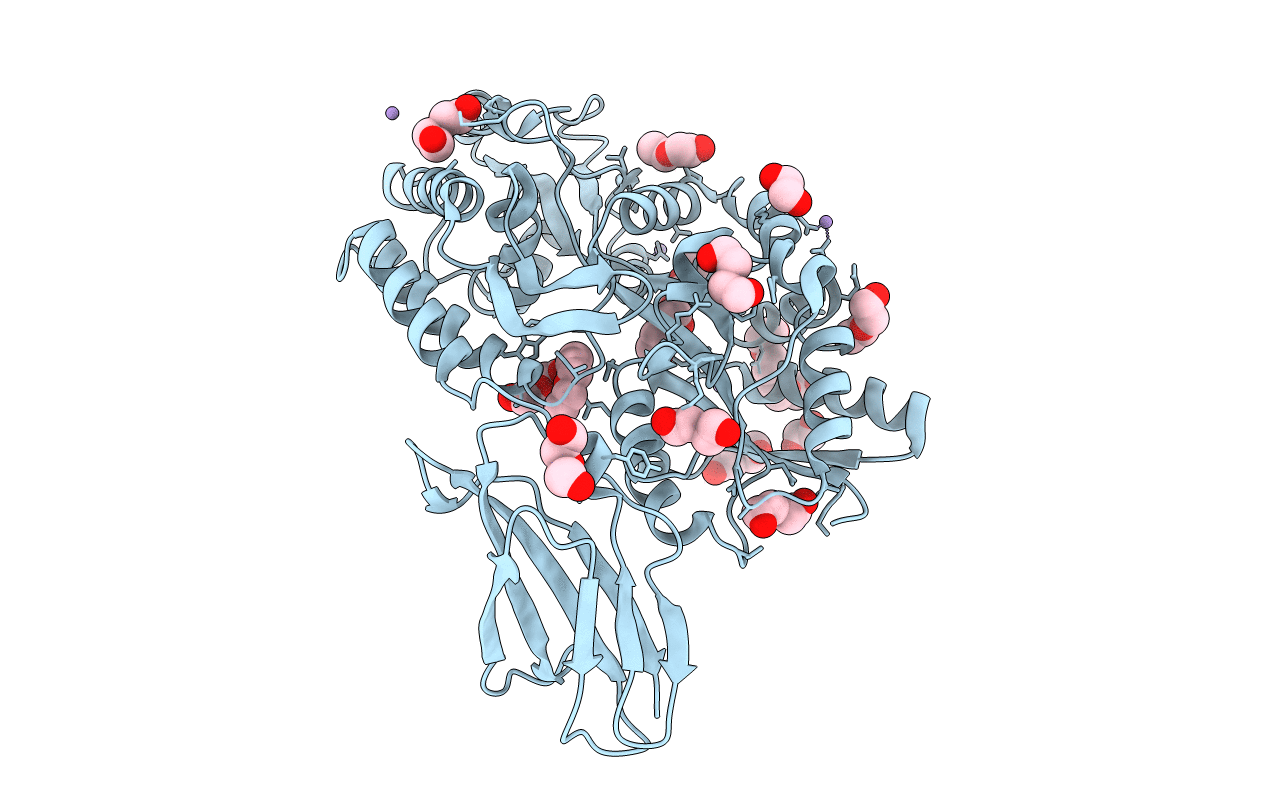 3CSB image
