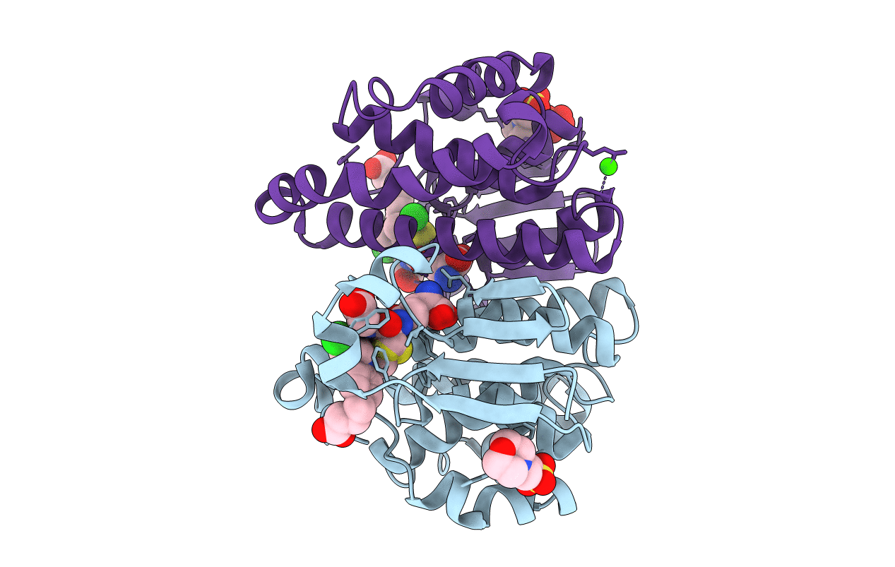 3CSH image