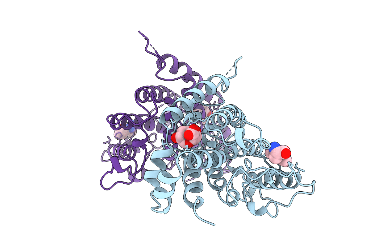 3CSM image