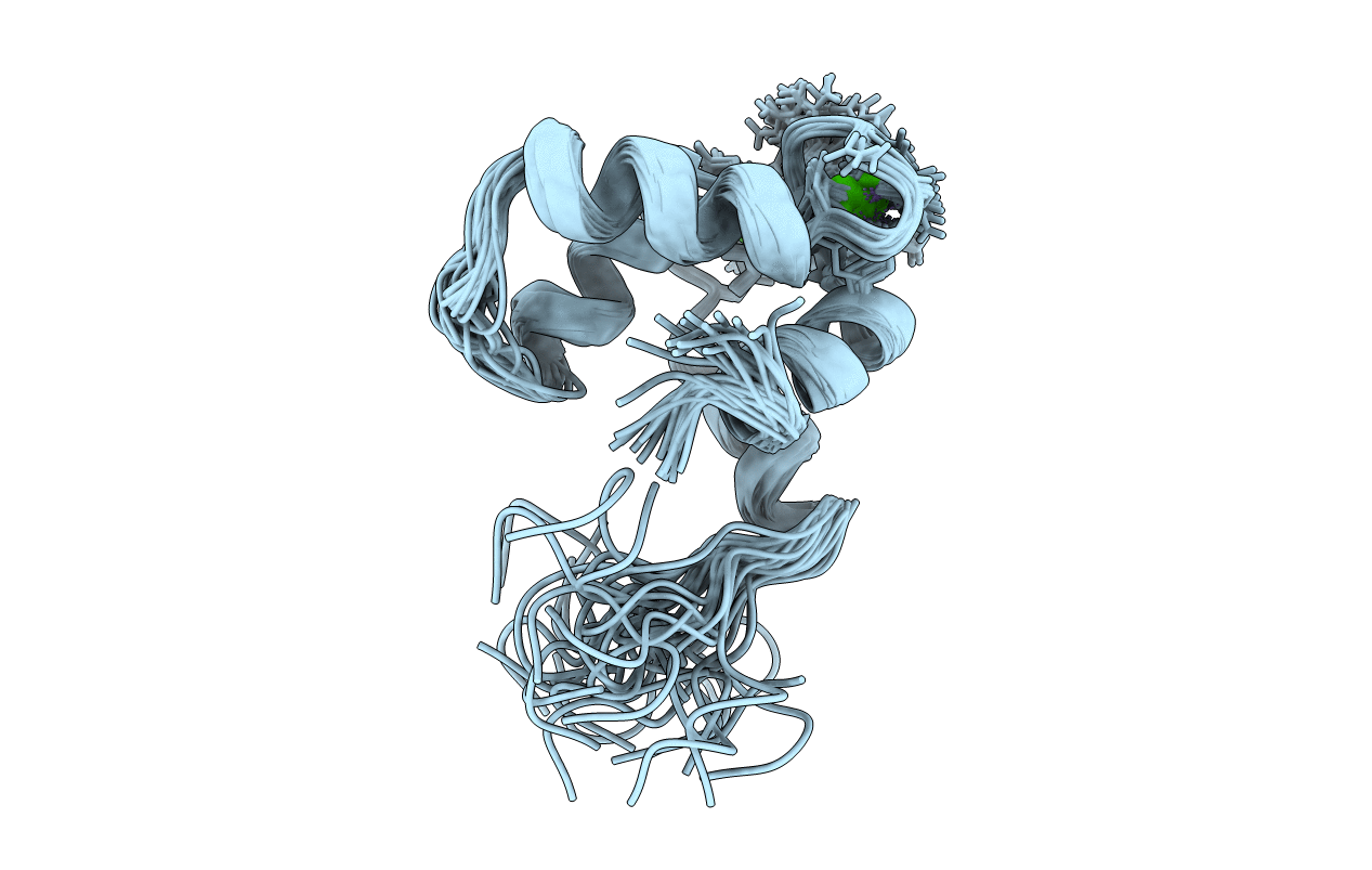 3CTN image