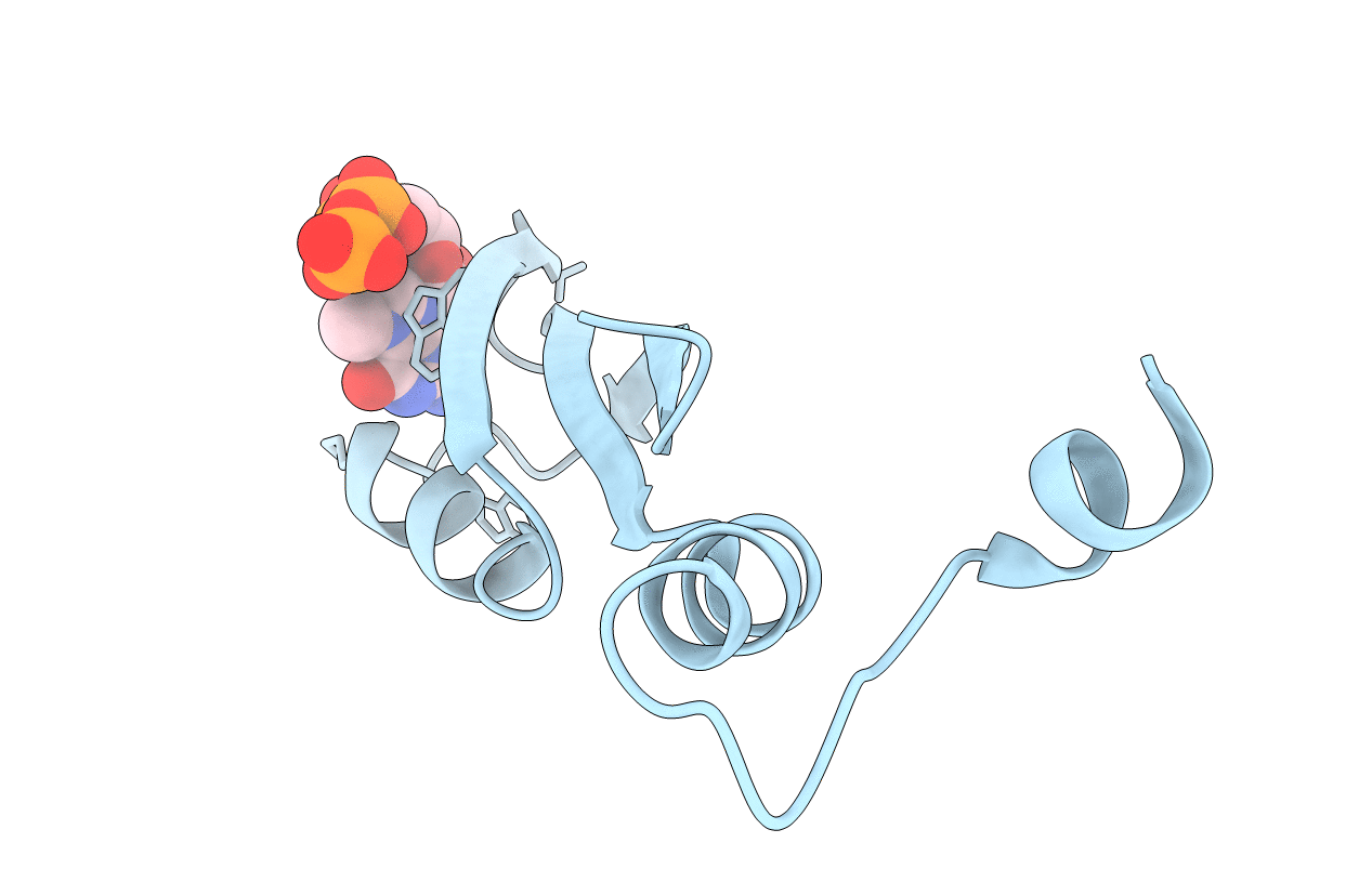 3CTR image