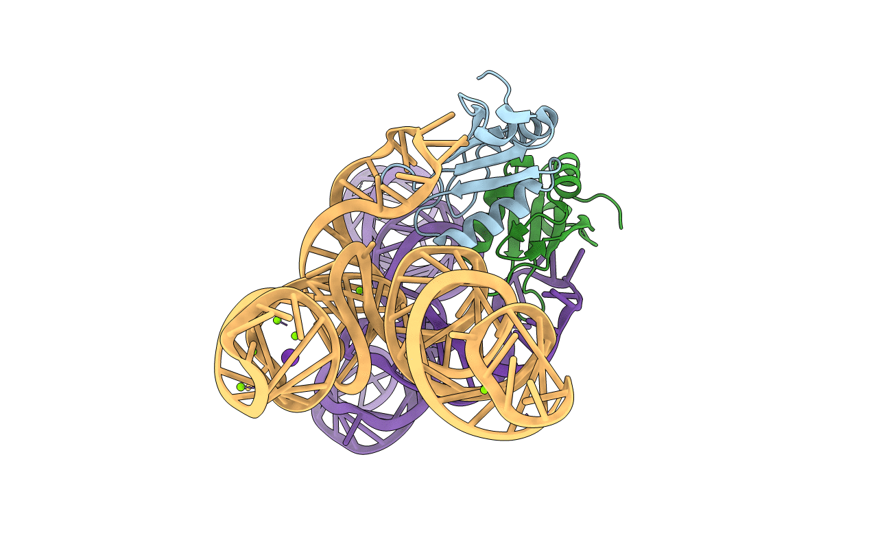 3CUL image