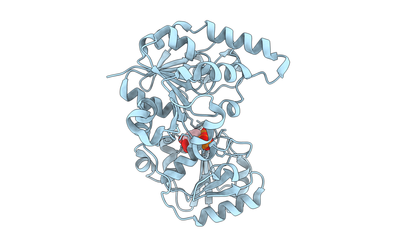3CV3 image