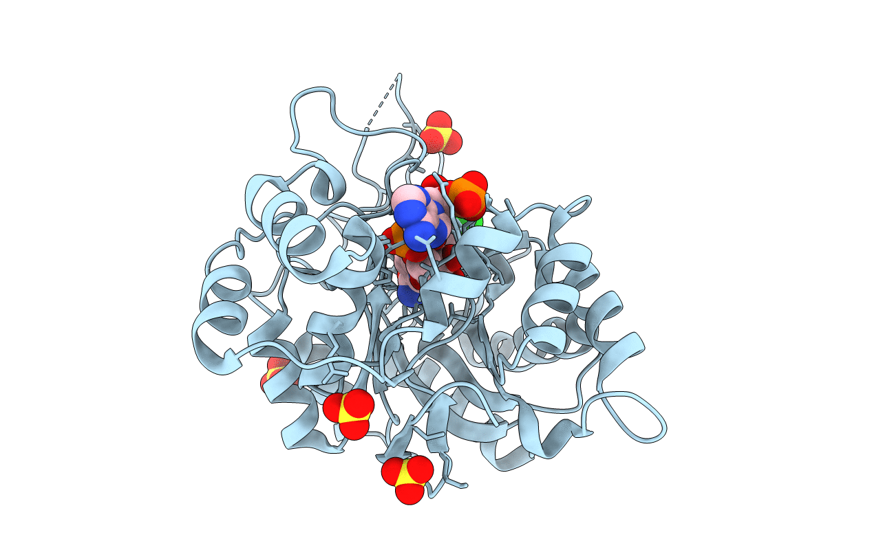 3CV7 image