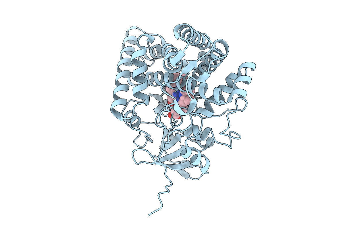 3CV8 image