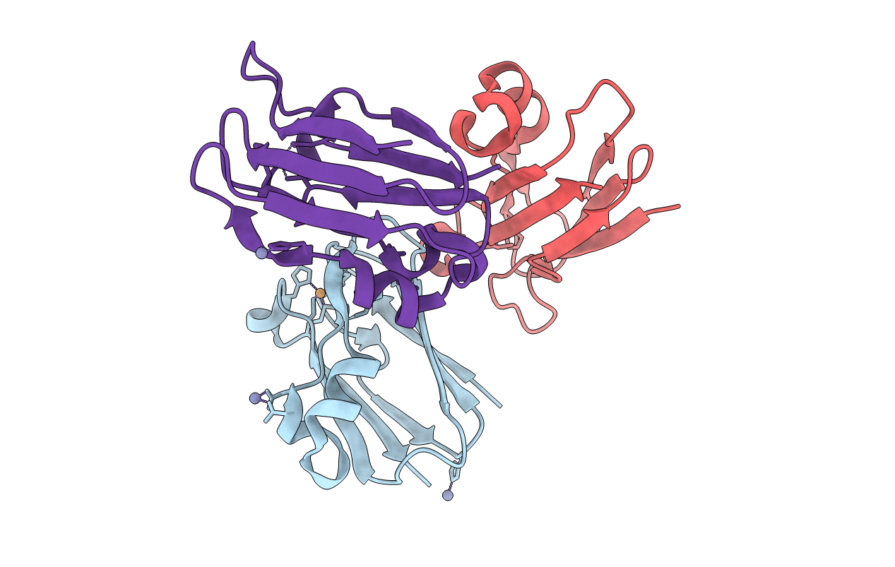 3CVD image