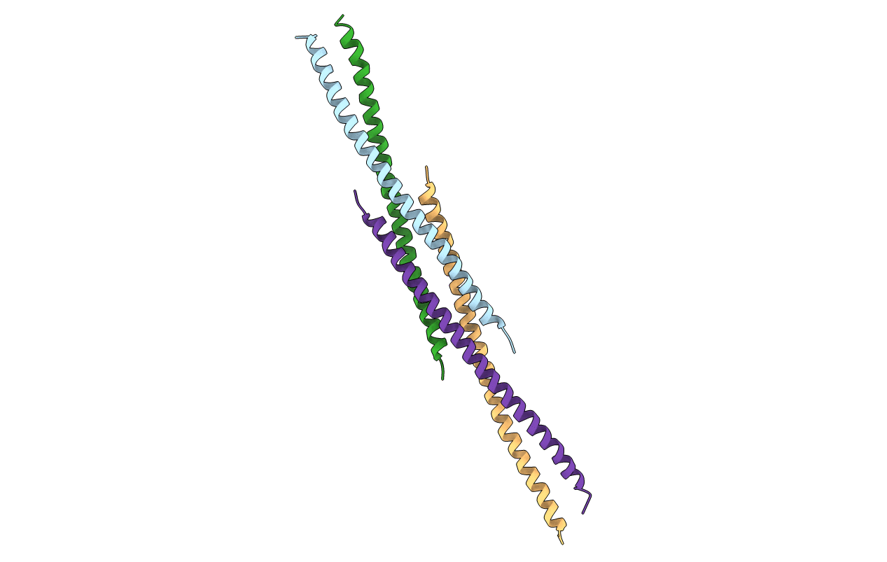 3CVF image