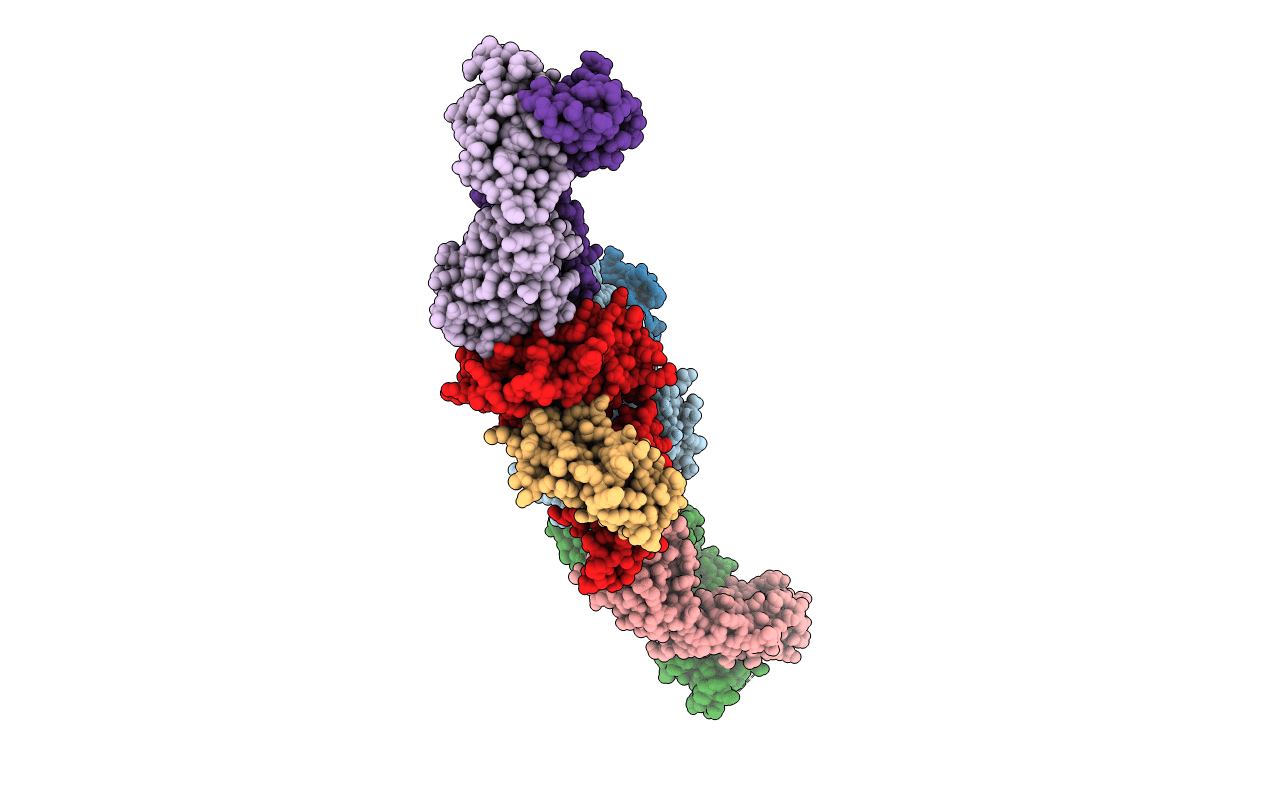 3CVH image