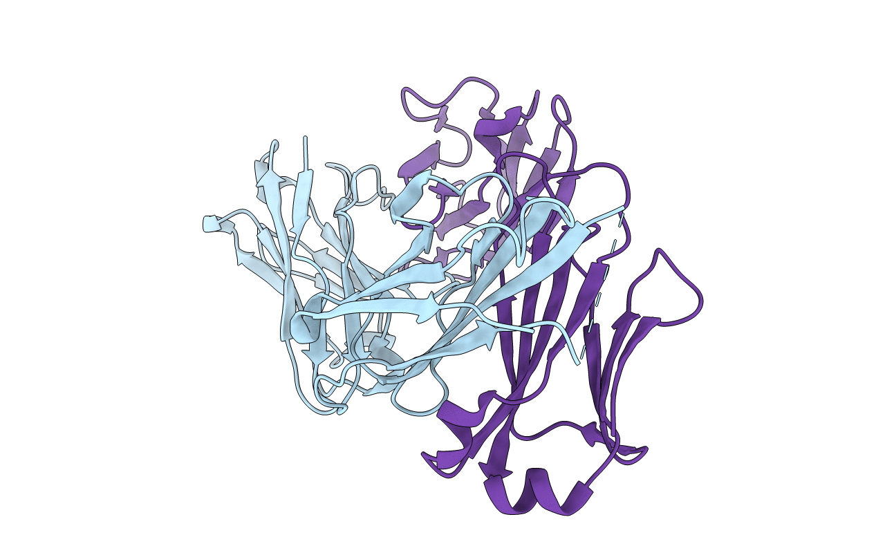 3CVI image