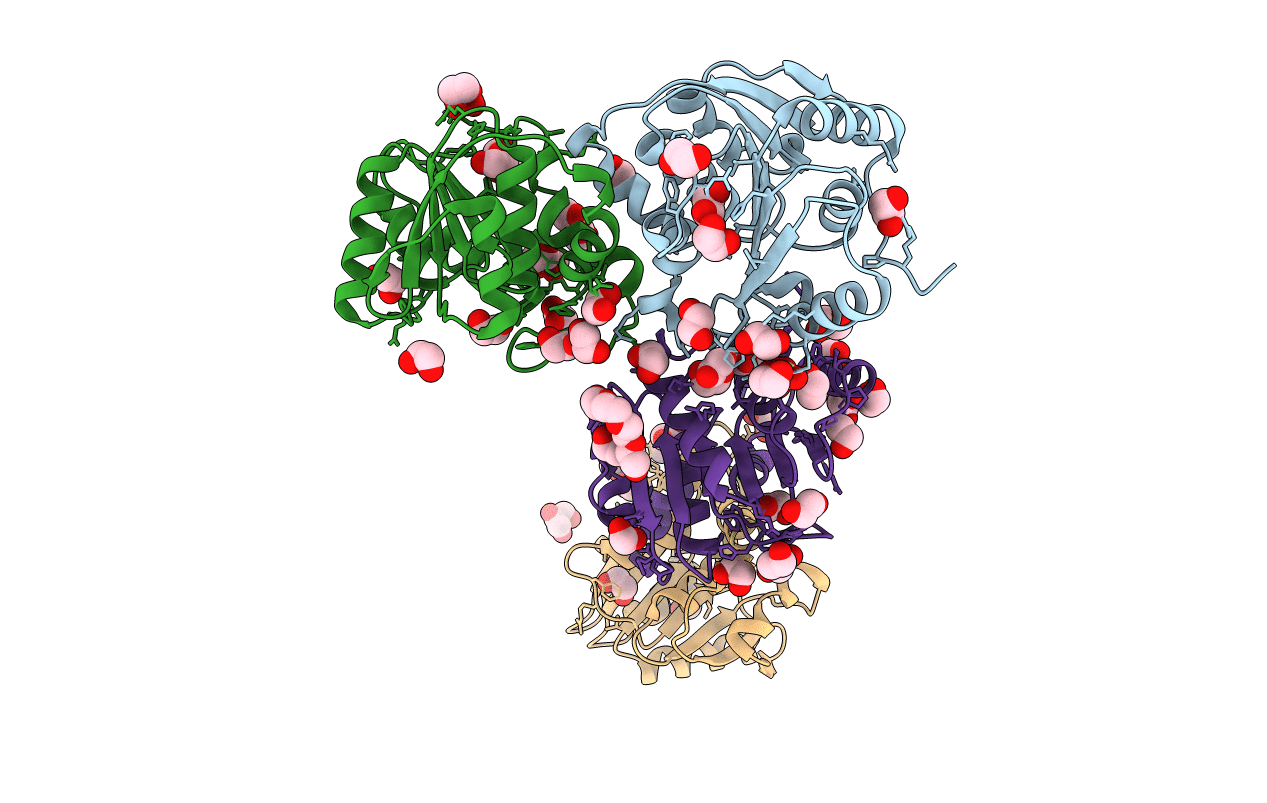 3CVO image