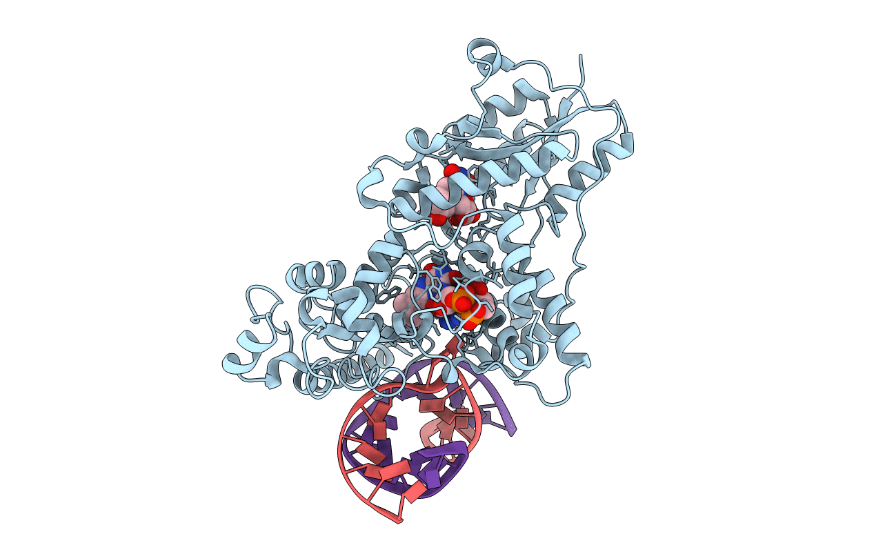 3CVW image