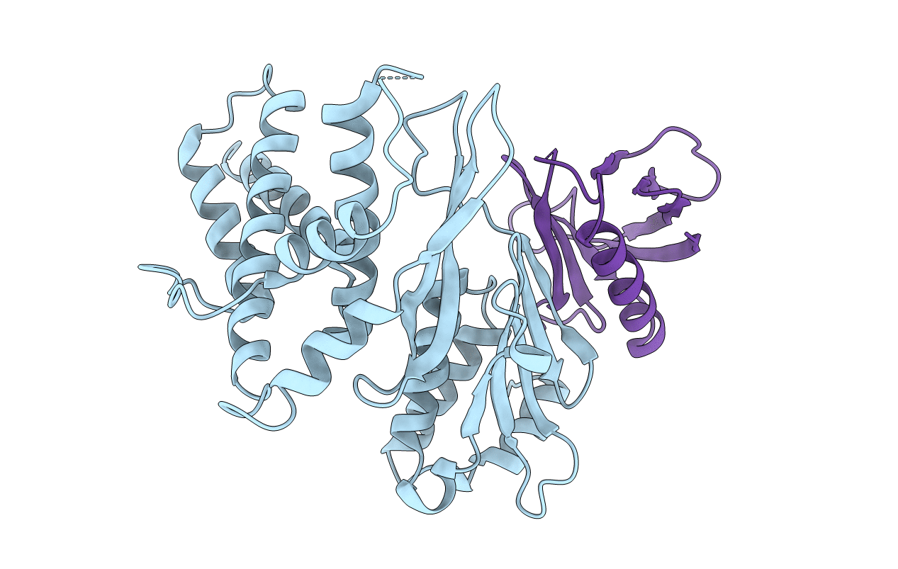 3CXB image