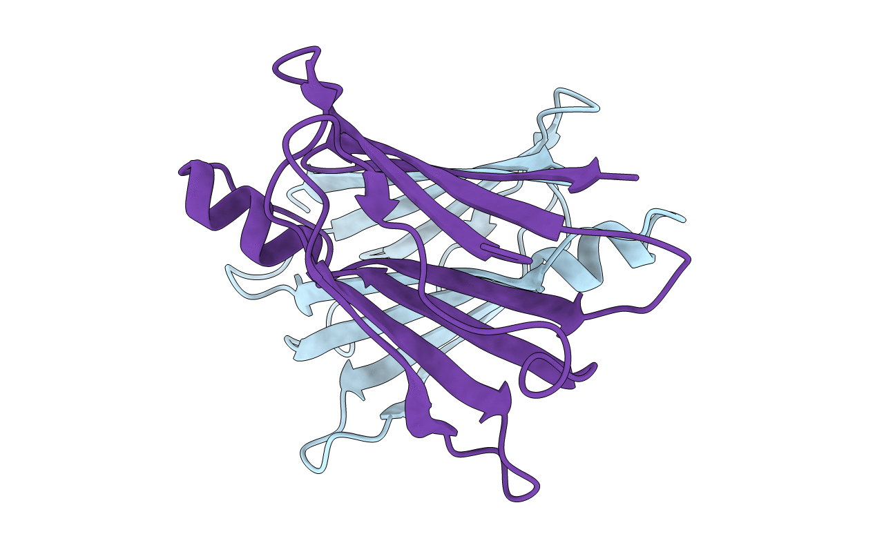3CXF image