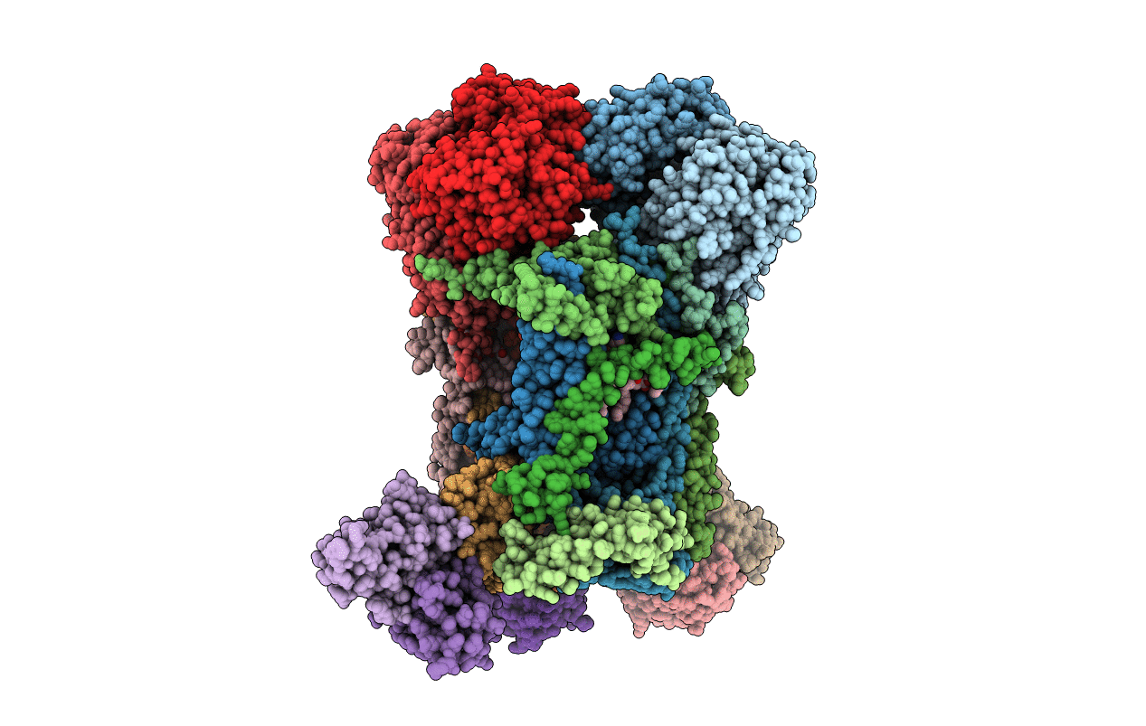 3CXH image