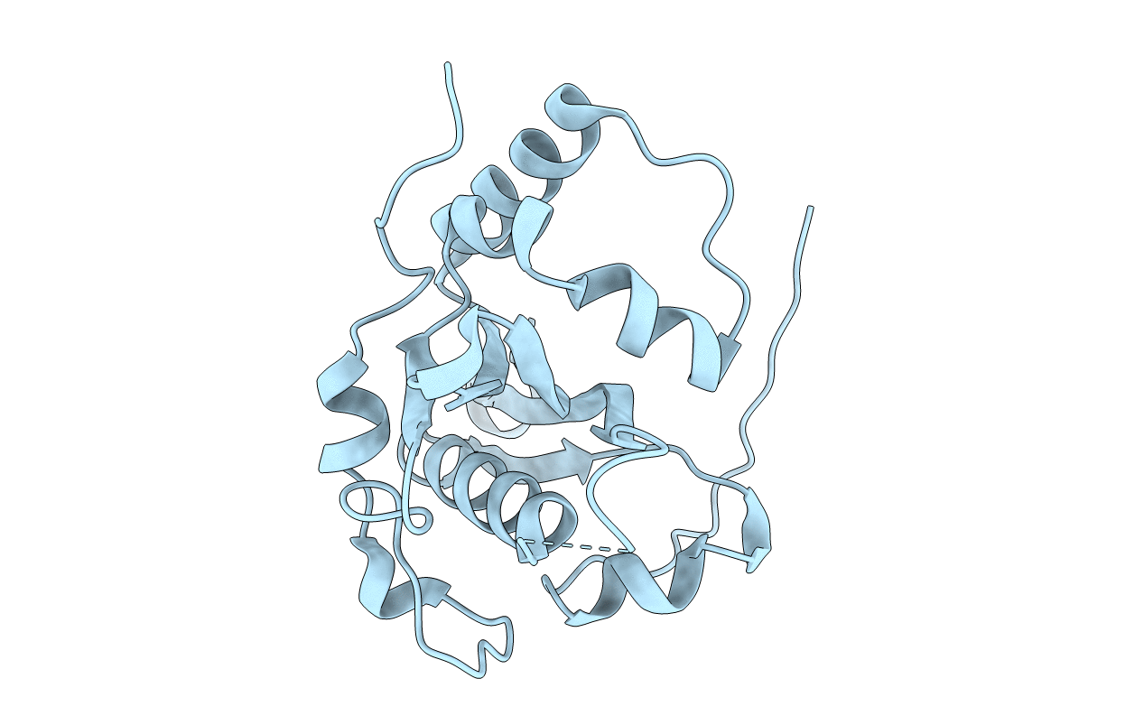 3CXS image