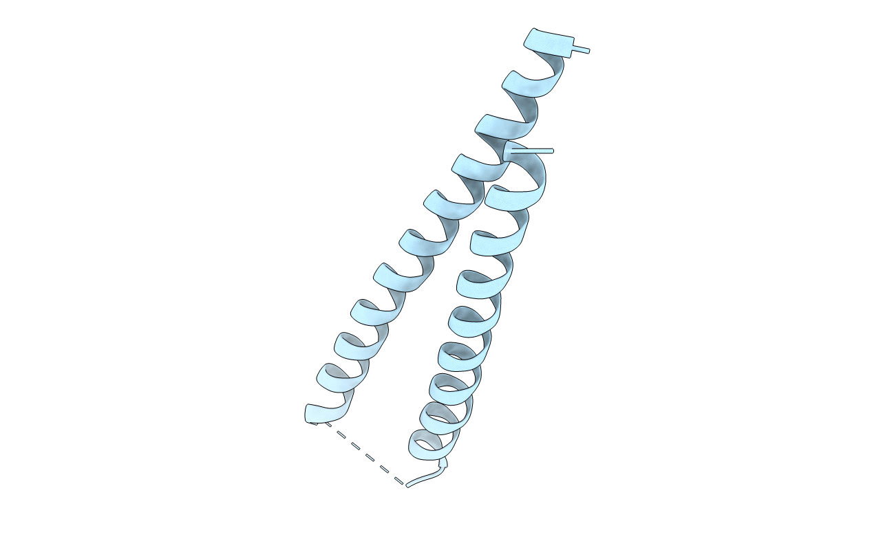 3CYO image