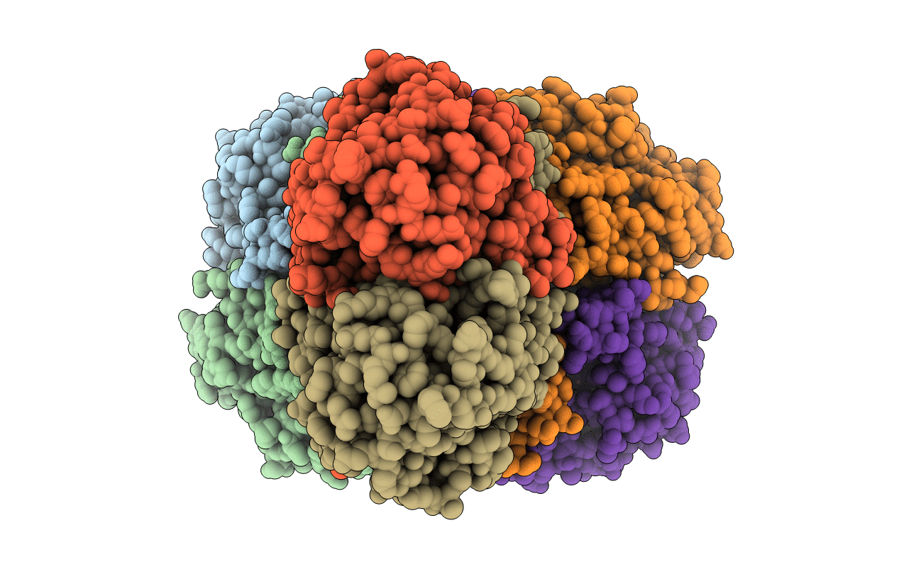 3D03 image