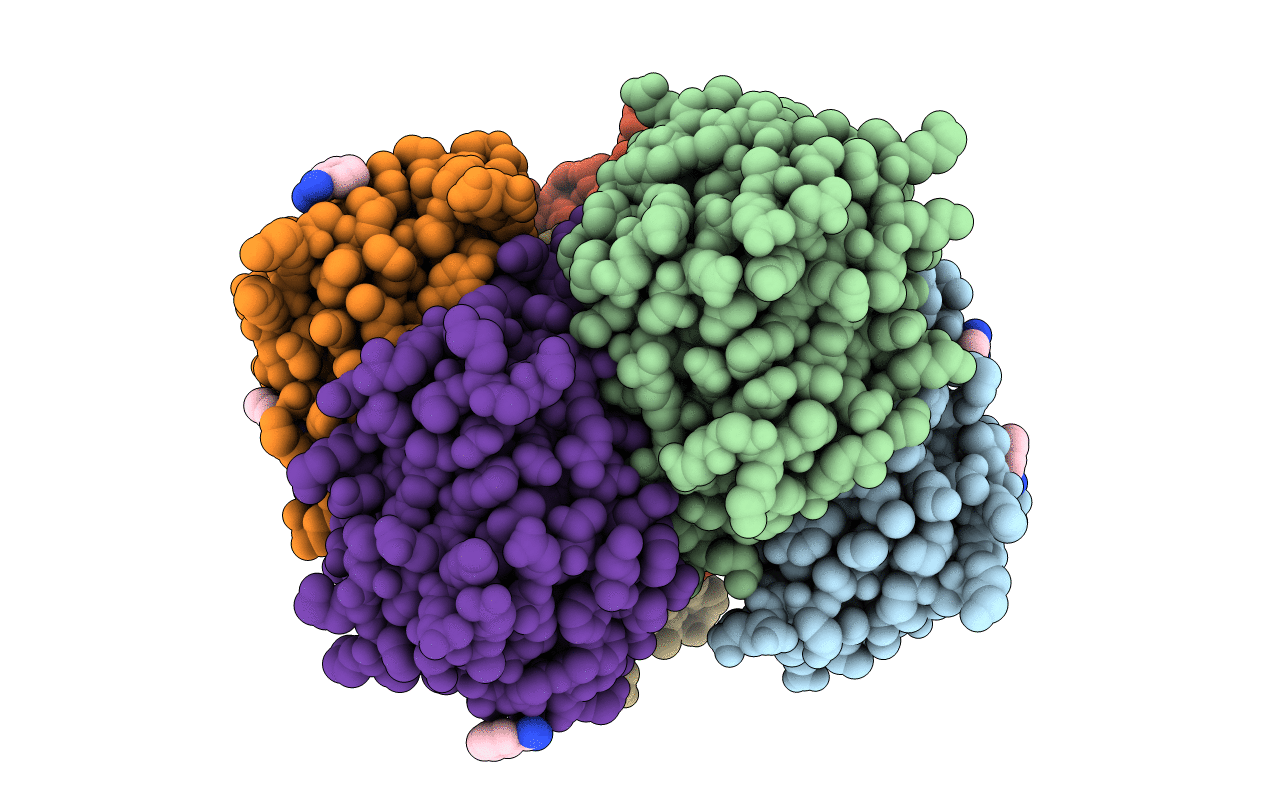 3D04 image