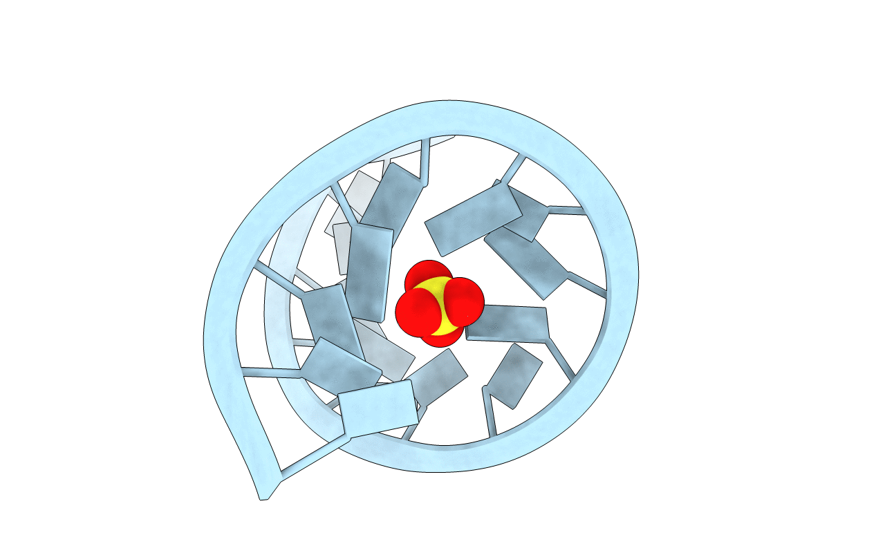 3D0M image