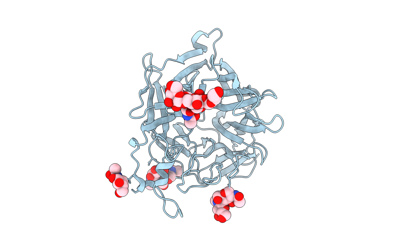 3D11 image