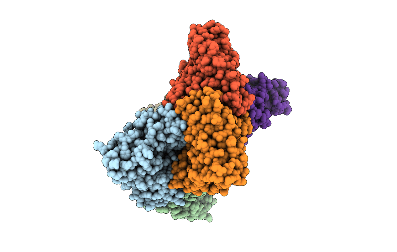 3D19 image