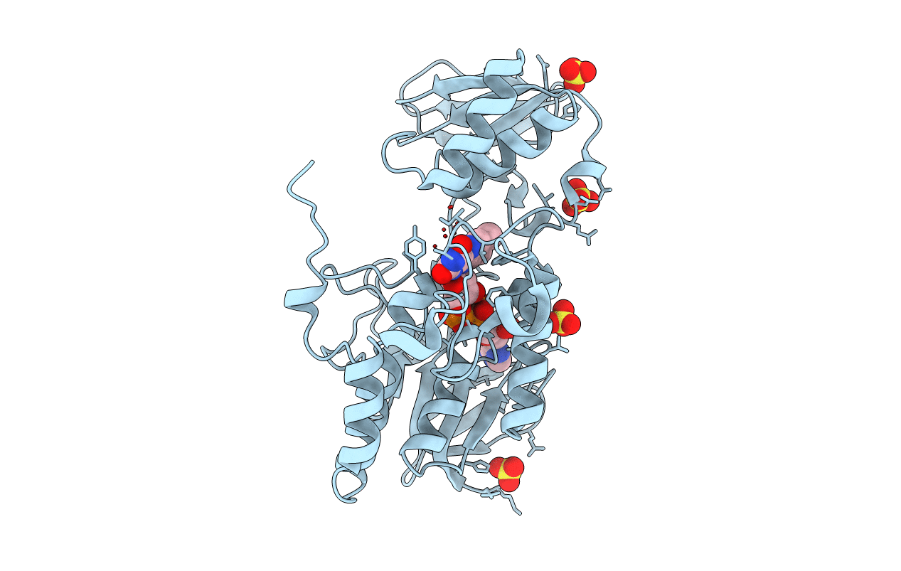 3D1C image