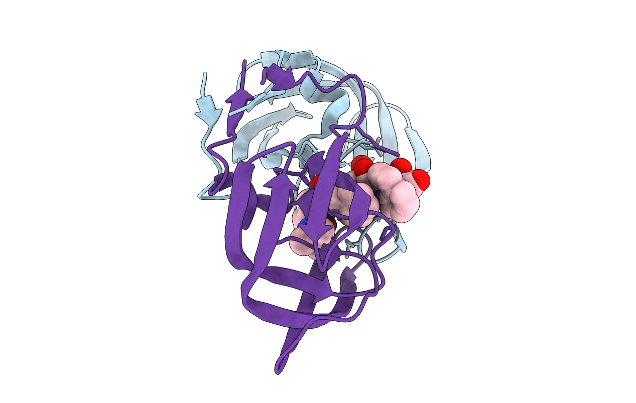 3D1X image