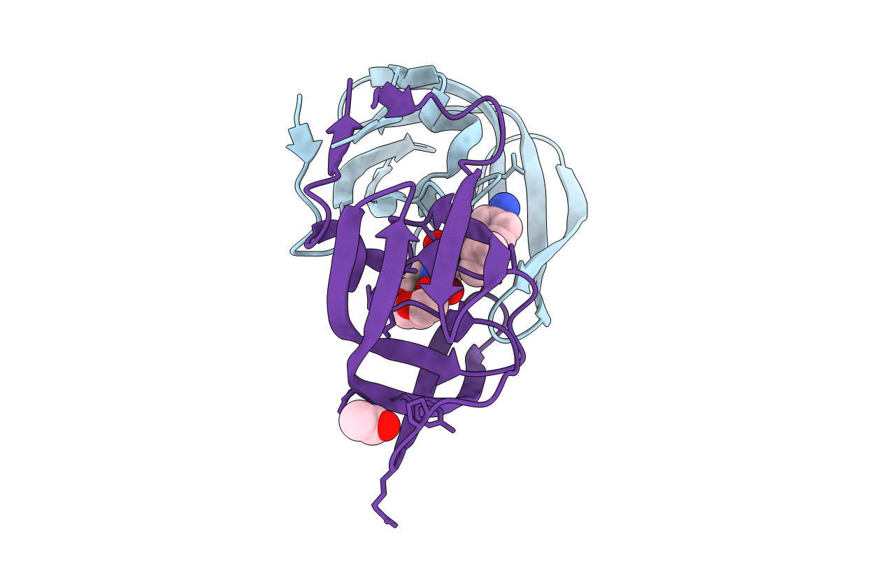 3D1Z image