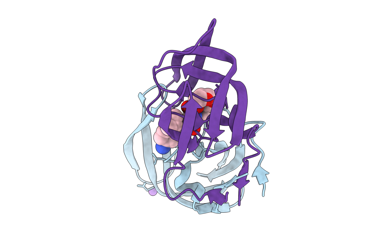 3D20 image