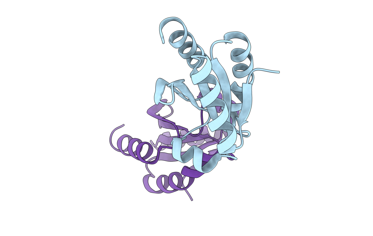 3D21 image