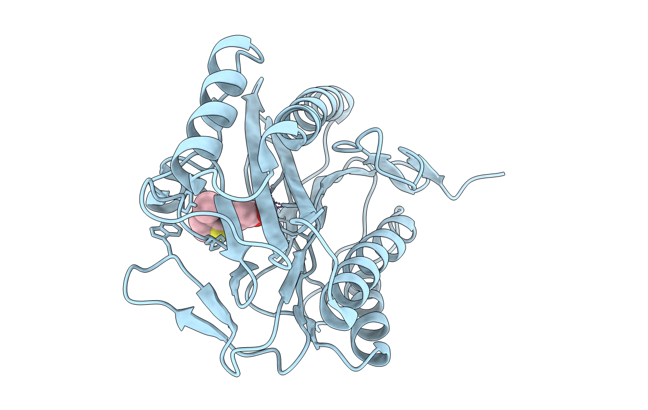 3D27 image