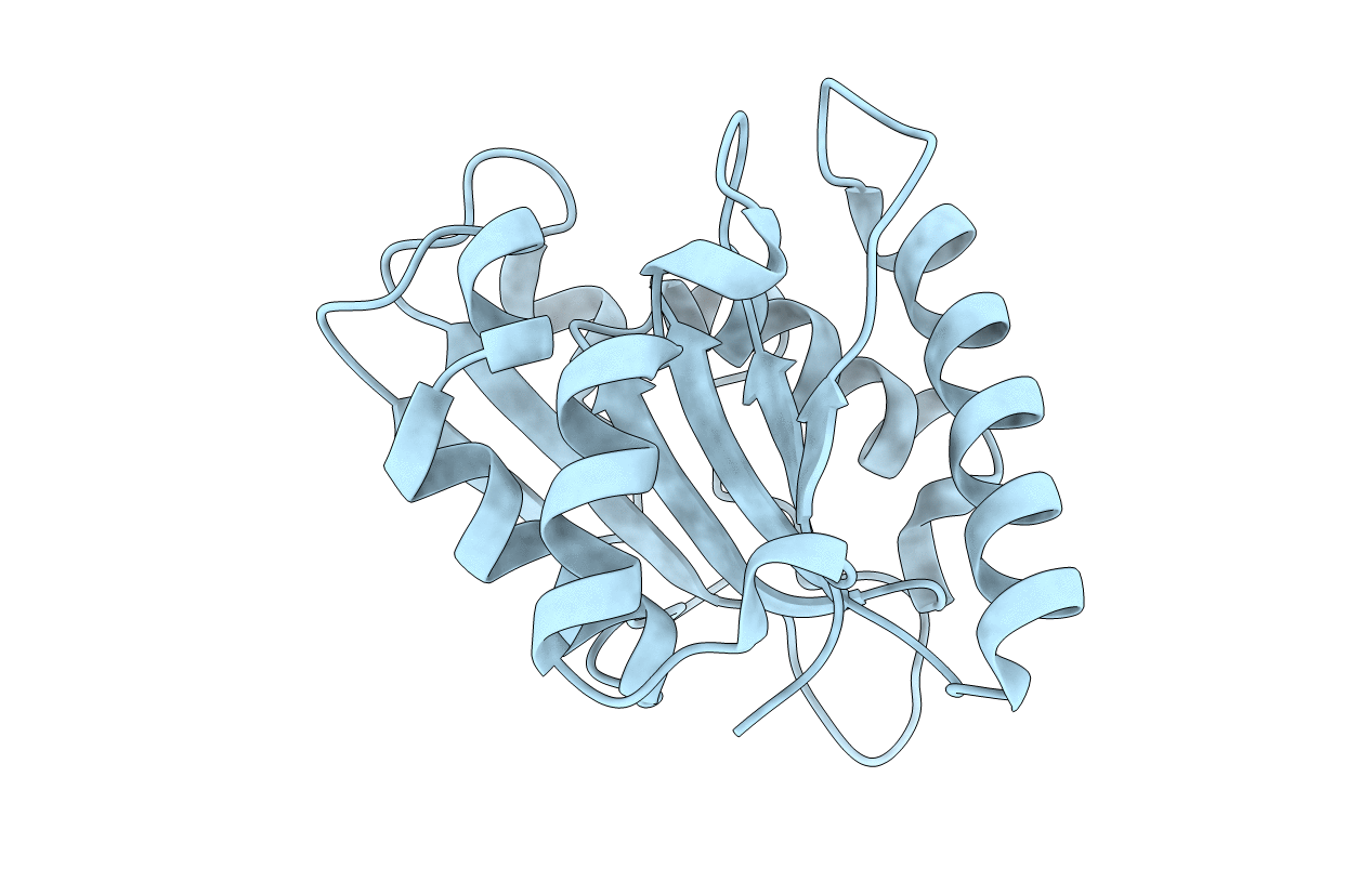 3D2A image
