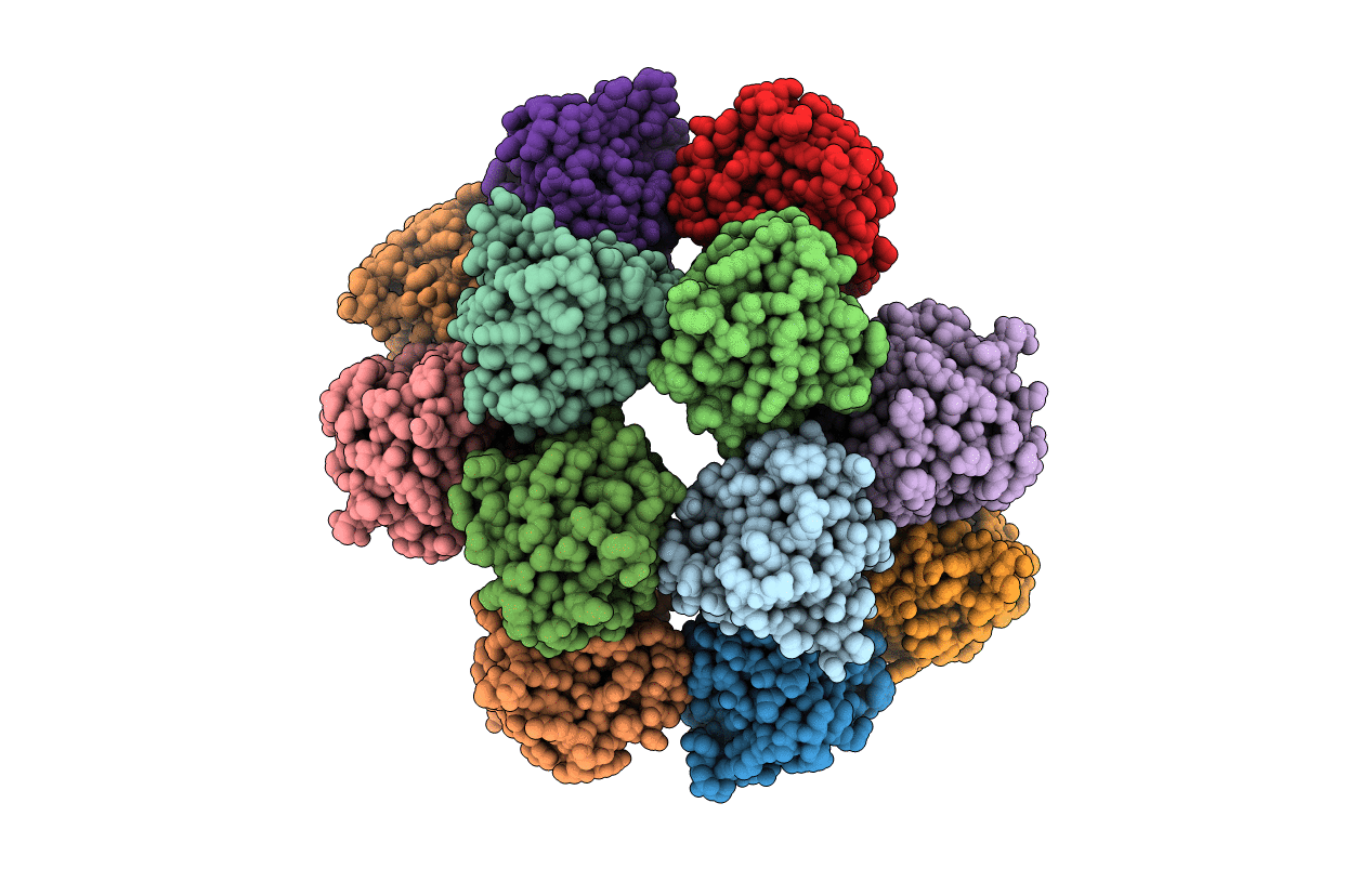 3D2C image
