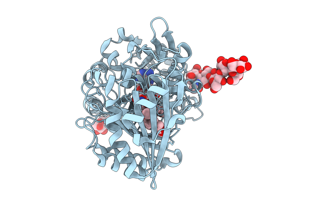 3D2D image