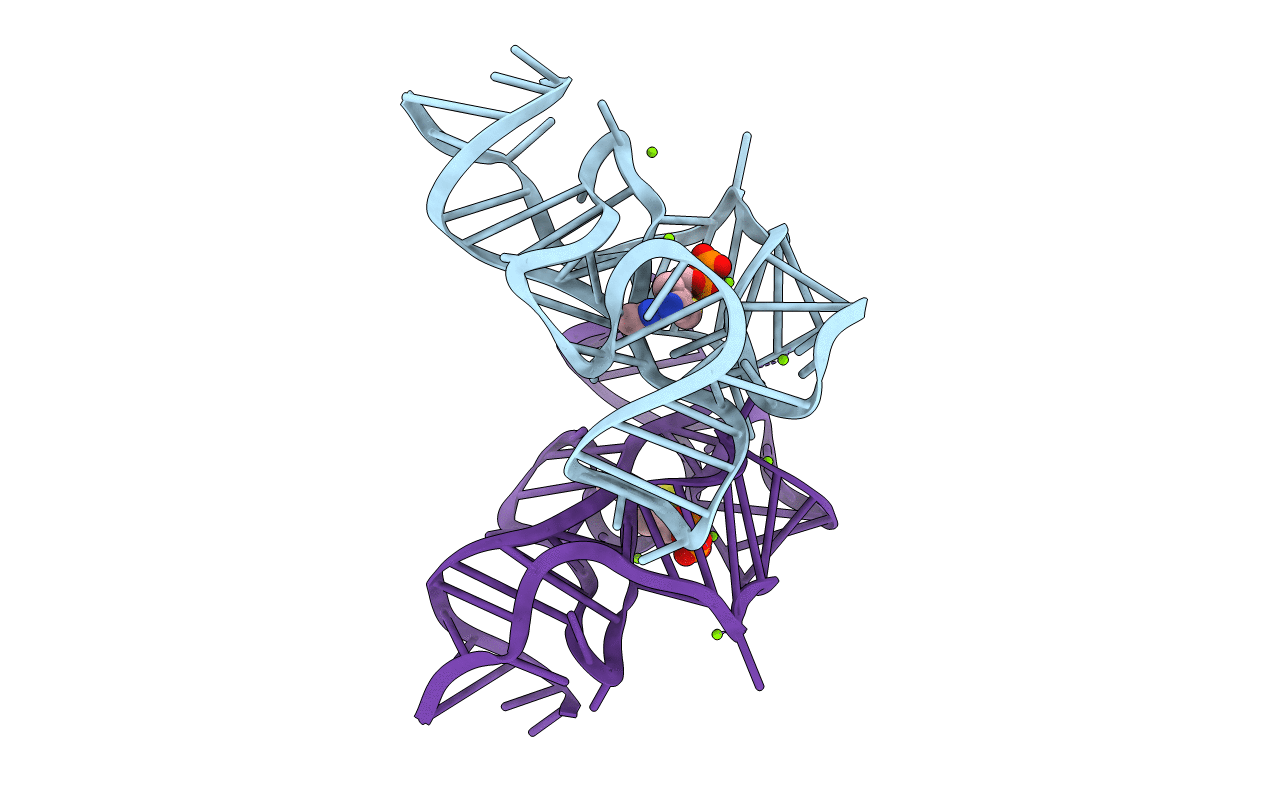 3D2G image