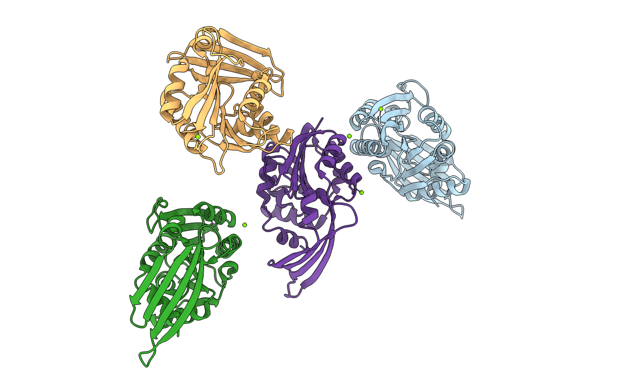 3D2L image