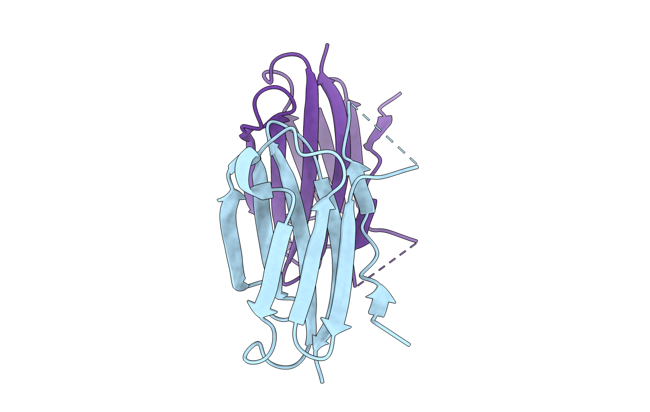 3D33 image