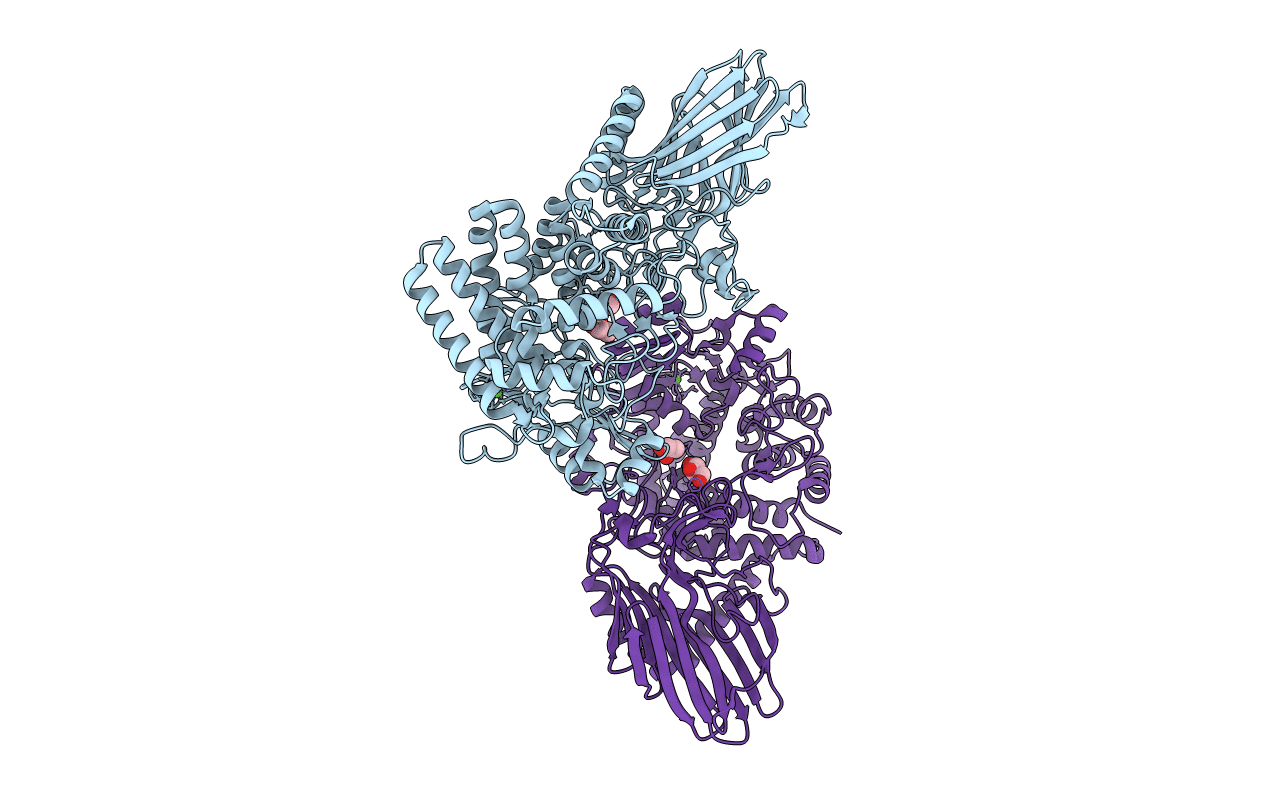 3D3I image