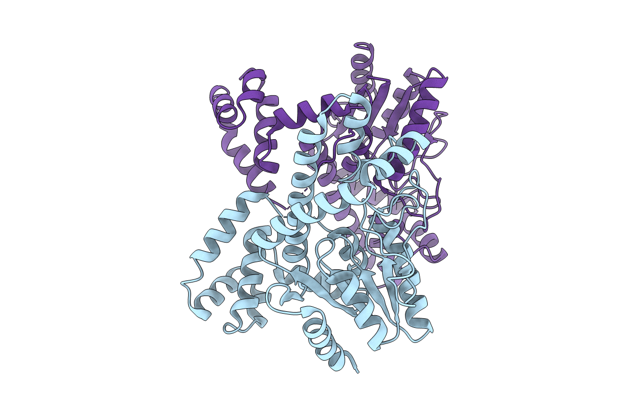 3D3Q image