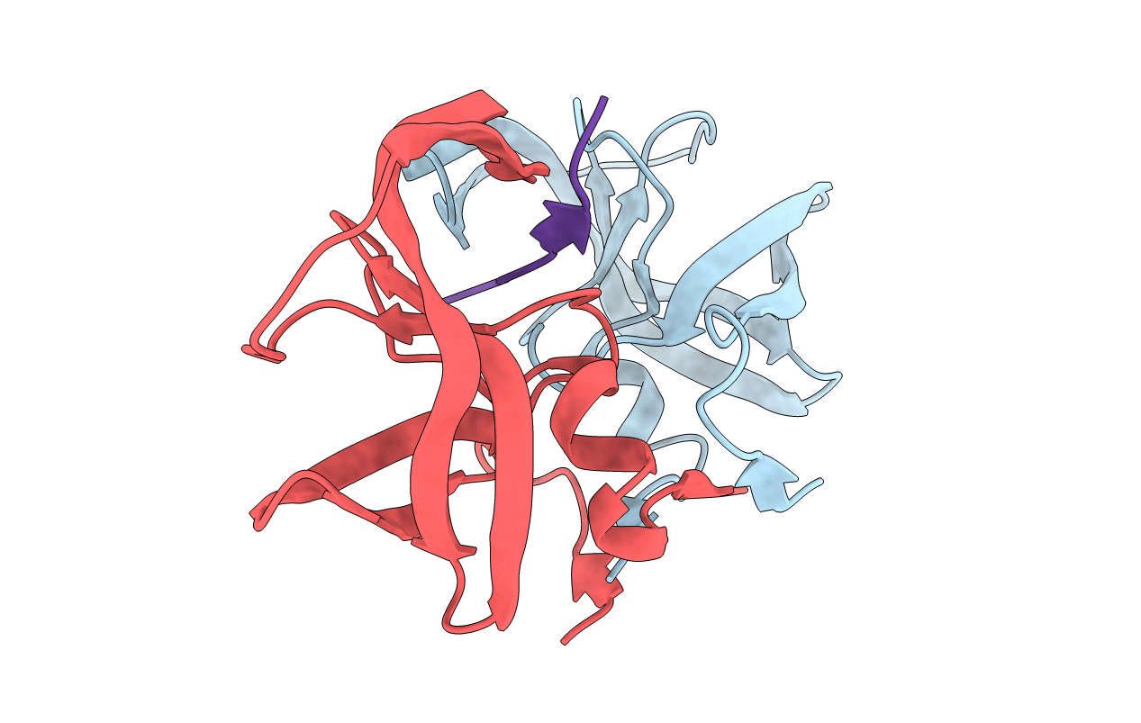 3D3T image