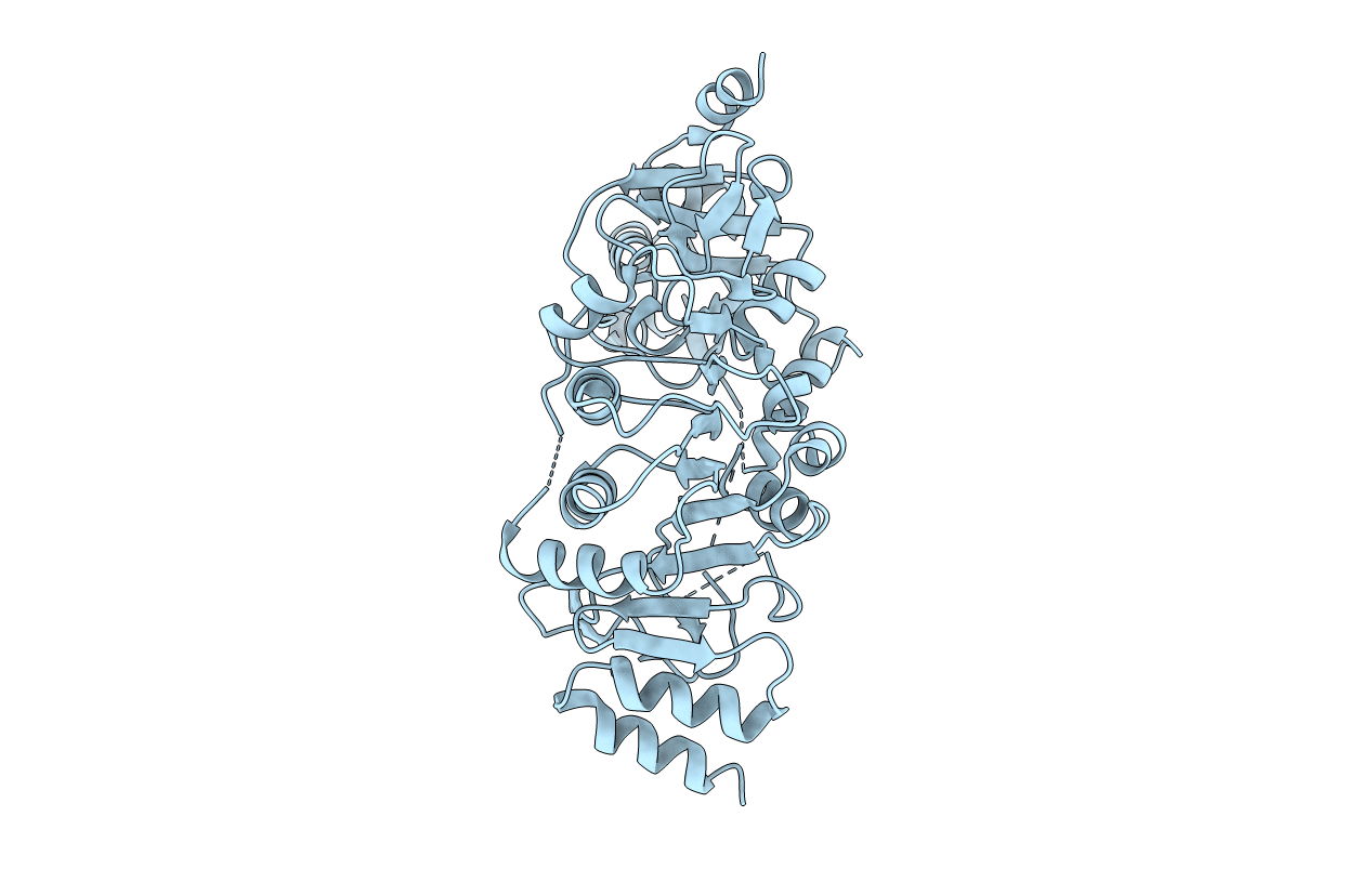 3D3U image