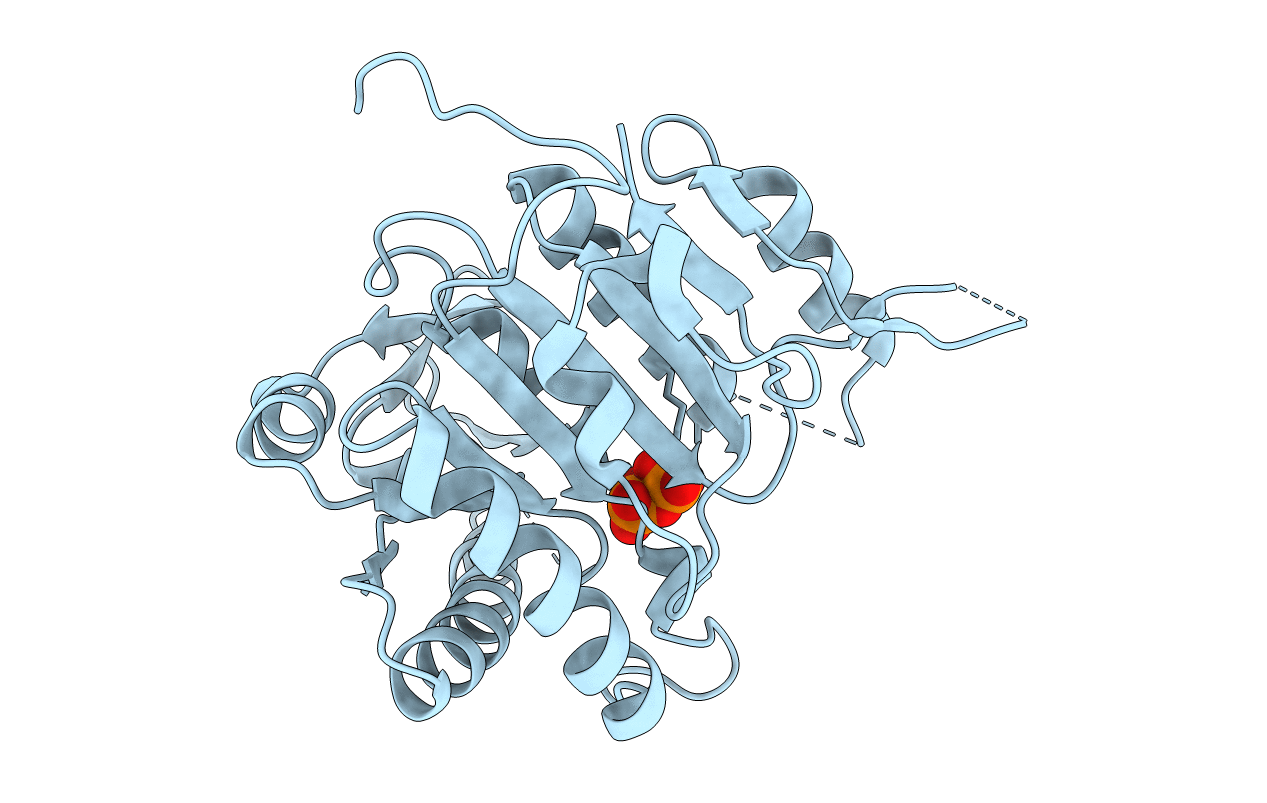 3D40 image